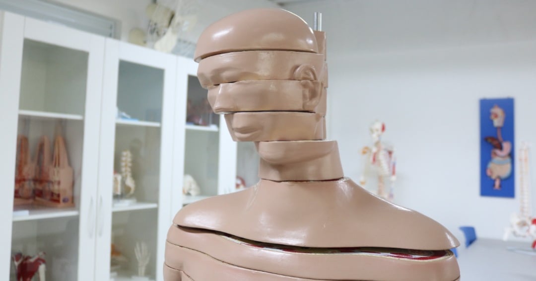 Saúde 6